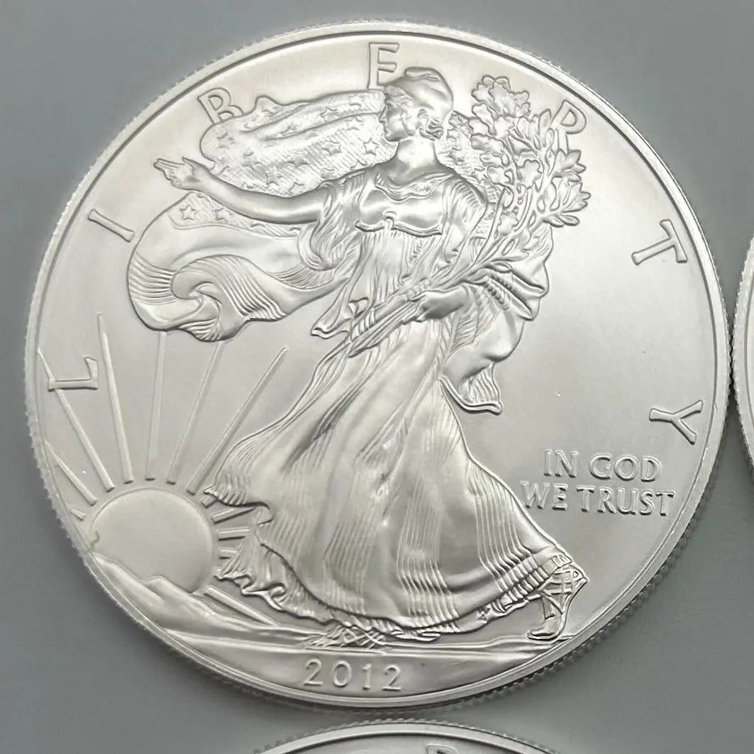 1 oz Collectible Coin Round for Collectors