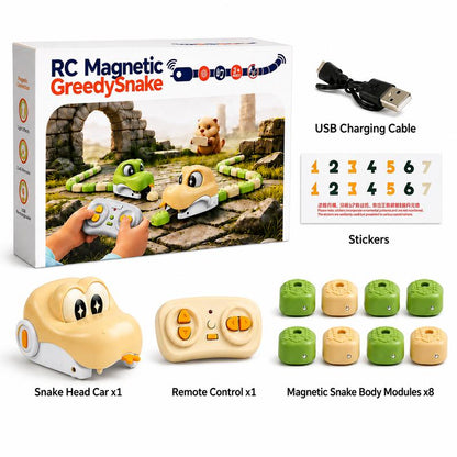 2-Pack Remote Control Magnetic Snake Game – 2-Player Competitive Stress Relief Toy for Family Fun