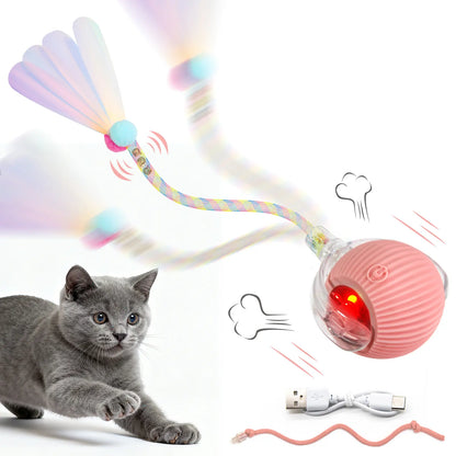 Interactive Rolling Pet Ball Toy, USB Rechargeable with Motion Activation, Bird Sounds & Lights