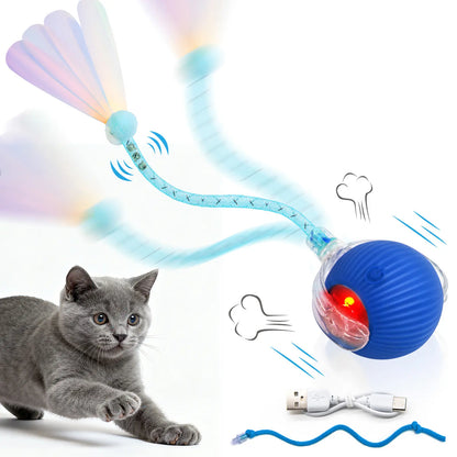 Interactive Rolling Pet Ball Toy, USB Rechargeable with Motion Activation, Bird Sounds & Lights