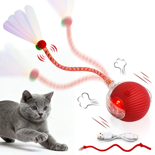 Interactive Rolling Pet Ball Toy, USB Rechargeable with Motion Activation, Bird Sounds & Lights