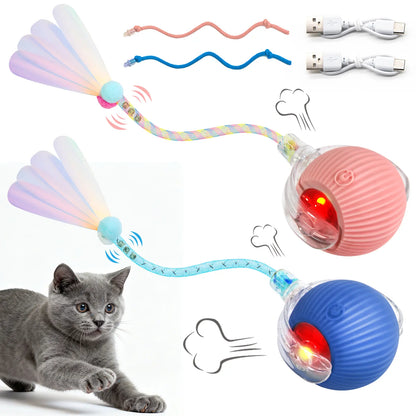 Interactive Rolling Pet Ball Toy, USB Rechargeable with Motion Activation, Bird Sounds & Lights