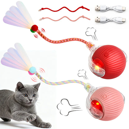 Interactive Rolling Pet Ball Toy, USB Rechargeable with Motion Activation, Bird Sounds & Lights