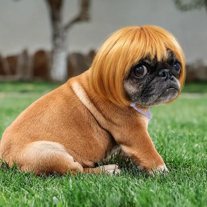 Cute Short Hair Wig Pet Headband, Funny Pet Wig Hair Accessories for Dogs & Cats, Valentine's Day Gift
