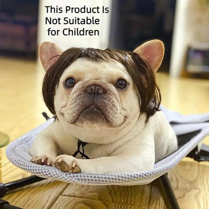 Cute Short Hair Wig Pet Headband, Funny Pet Wig Hair Accessories for Dogs & Cats, Valentine's Day Gift