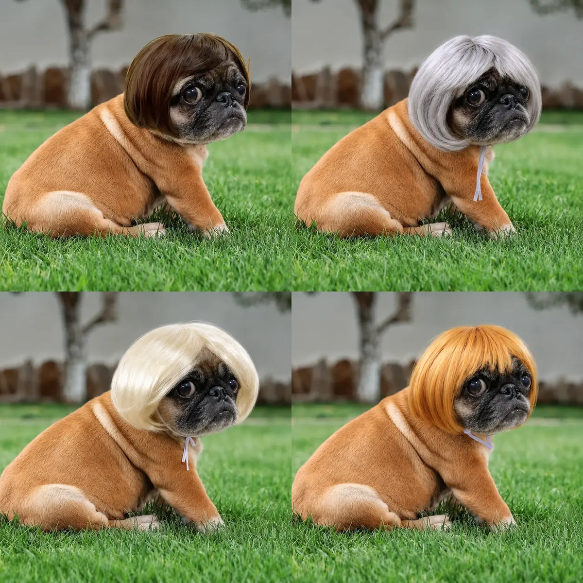 Cute Short Hair Wig Pet Headband, Funny Pet Wig Hair Accessories for Dogs & Cats, Valentine's Day Gift