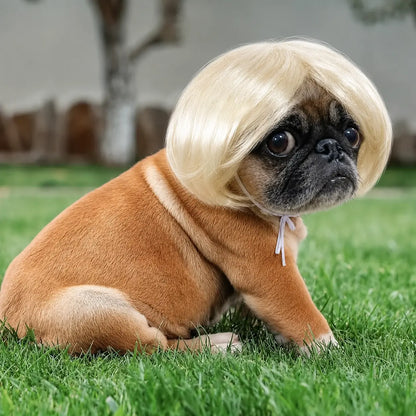 Cute Short Hair Wig Pet Headband, Funny Pet Wig Hair Accessories for Dogs & Cats, Valentine's Day Gift