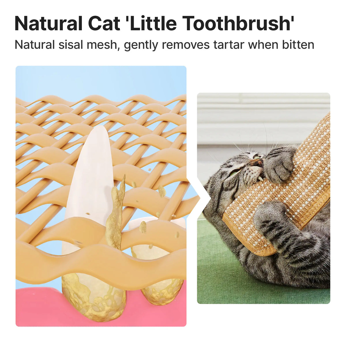 Interactive Catnip Chew Toy for Cats, Bite-Resistant Sisal Claw Toy with Organic Catnip for Indoor Cats